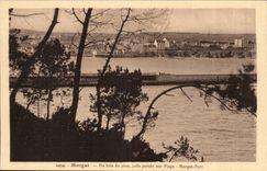 Morgat CPA Du bois de pins jolie percee sur la plage Morgat port