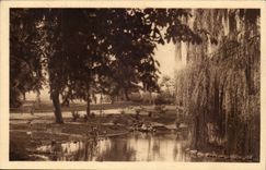 Vichy CPA parks and the new basin of the swans