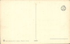 Italy - Italia - Rapallo - Panorama - CPA