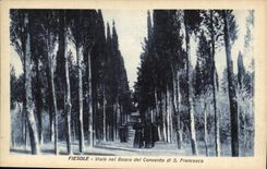 Italy Italia Fiesole CPA Viale nel Bosco del Convento di S Francesco