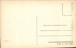 Italy Italia Fiesole CPA Viale nel Bosco del Convento di S Francesco