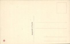 Italy - Italy - Trees - the Partner - CPA