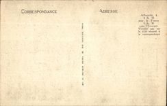 Langeais CPA L'entree du chateau