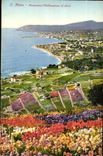 Italy Italia CPA S Remo Panorama (cotltivazione di fiori)