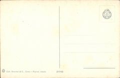 Italy Italia CPA S Remo Panorama (cotltivazione di fiori)