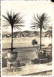 CPA Cannes Suquet seen of the park Albert 1st