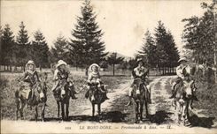 Puy de Dome- the Mount Gilds Walk has Donkey Ass-CPA