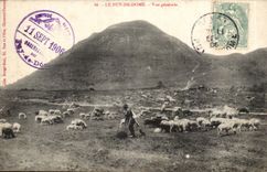 Puy de Dome- Puy de Dome- Seen General sheep - CPA