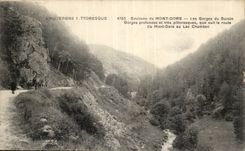 Puy de Dome- Surroundings of Mount Gilds the Falls of Surain- Gorges deep and very picturesque--CPA