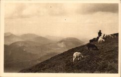 Puy der Haube-Clermont-Ferrand weiches Frankreich mit den Oberseiteschafen-CPA