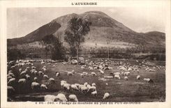 Puy de Dome- Passage of sheep to the foot of Puy of Dome-CPA