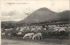 Puy de Dome- Seen of the Hut-sheep - CPA