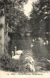 Paris (12) Bois de Vincennes- Un Coin du Lac- Cygne-CPA