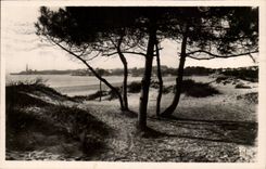 St Georges de Didonne CPA the beach through pines