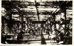 Vichy CPA Under the pergolas