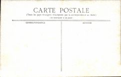 Vichy CPA the basin of the swans (swan)