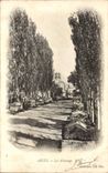 Arles - Aliscamps - CPA