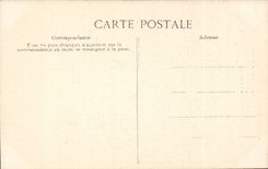 CPA Paris Charmer of birds to Louvre Tileries small artists! TOP Folklore Small Trades (pigeons)