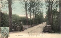 Rueil - the Road of the Wood of Saint Cueufa - CPA