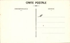 Bordeaux - Public garden Palm trees - CPA