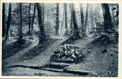 Saint Cloud CPA Fontaine de Marie Antoinette