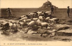 Holy mount Michel CPA close to the strikes Sheep