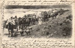 CPA Caravan of Cai Ben Ganah (camel dromedary camael) Algeria Algeria