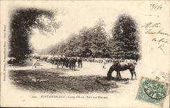 fontainebleau Pa Camp of Avon Park to the horses