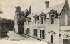 CPA Chateau de la Valliere par Reugny
