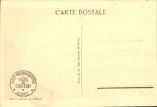 Alsace High-Koenigsbourg-Sight Taken has Vol of Bird-CPA