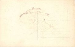 Fantaisie - Fantasy CPA Le rire du Morvan Oies Humour