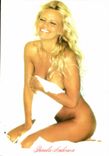 CPM Erotique Femme Nu pamela Anderson