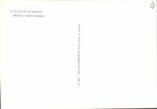 CPM Erotique Femme Nu d'Aslan Helga lunettes magiques