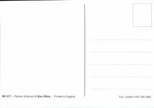 CPM Erotique Femme Nu Pamela Anderson