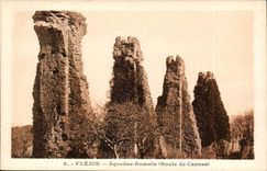 CPA Frejus Aqueduct Romain (road of Cannes)