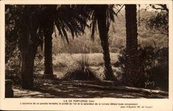 CPA Ile de Port Cros Parc de l'hostellerie provencale