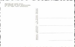 Images of On our premises - Hosts of Our Mountains - an Authentic Golden eagle - bird - CPA