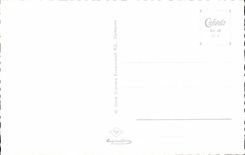 Deutschland - Germany - Wein nebeb der Vater Rhein - Guitar - Wine - CPA