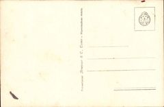 Suisse Isola Bella CPA Terrazza del Giardino