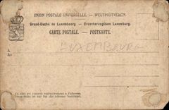 Luxembourg CPA the ducal large palate