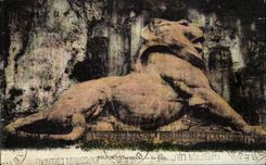 Belfort CPA the lion