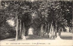 Chantilly CPA Castle the alley of philosophers