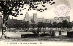 Avignon CPA Seen from of Barthelasse
