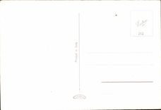 Italy - Italy - Lago Maggiore - Insulated Bleated - Giardino - CPA