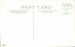 Nice - Gardens of the Palm trees and the Casino - CPA