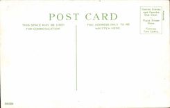 Nice - Gardens of the Palm trees and the Casino - CPA