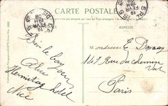 Nice - Gardens of the Palm trees and the Casino - CPA