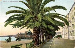 Nice - the Quay of the South - CPA