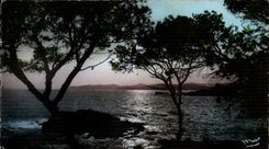 Cote d'azur CPA Coucher de soleil