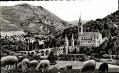 Lourdes CPA the basilica and the peak of the Day (sheep)